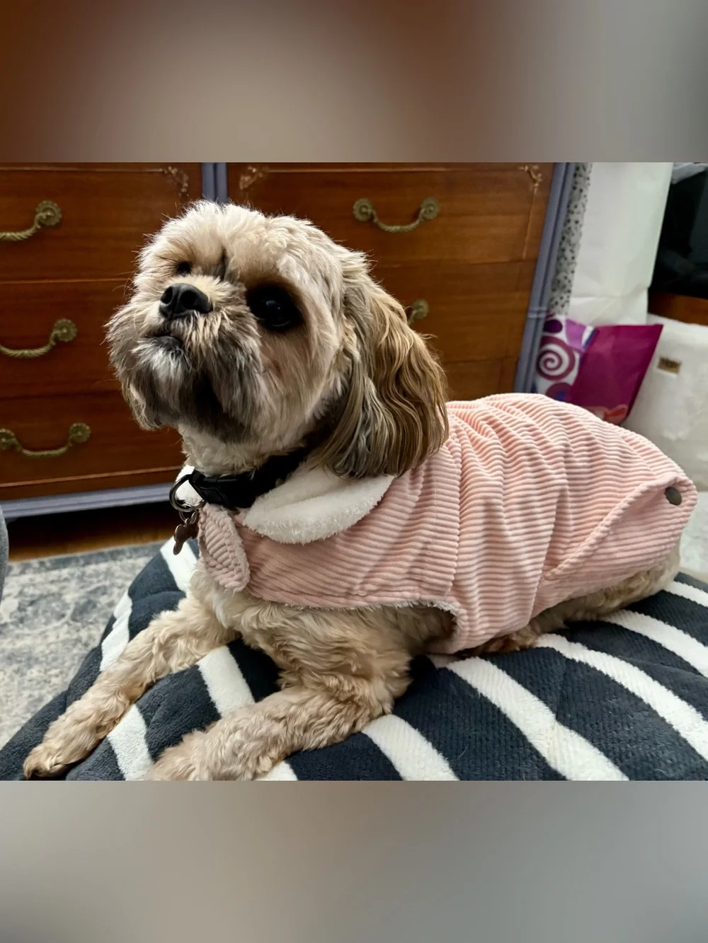 Cozy-Pink Corduroy Dog Coat with Faux Fur Collar